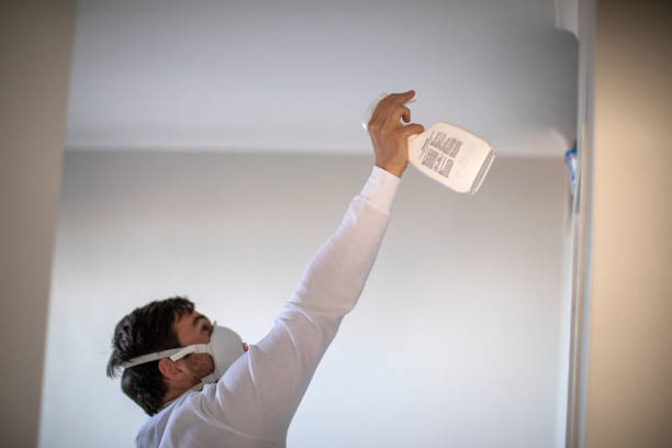 Best Mold Remediation for Specific Building Types in Forestde, AL