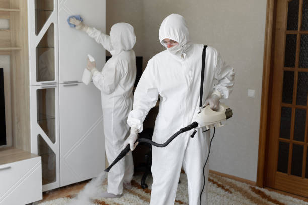 Best Black Mold Remediation in Forestde, AL