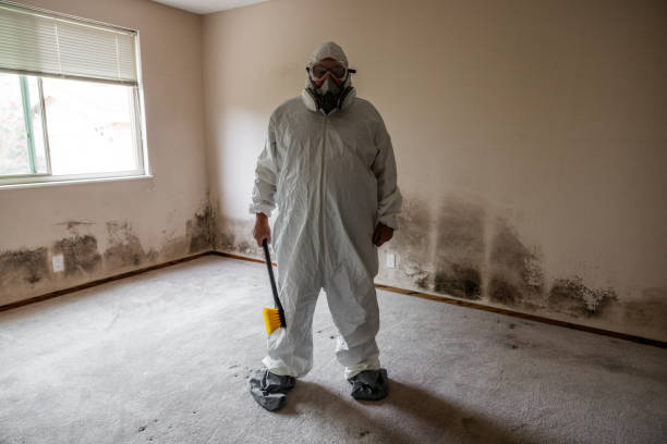 Best Commercial Mold Remediation in Forestde, AL